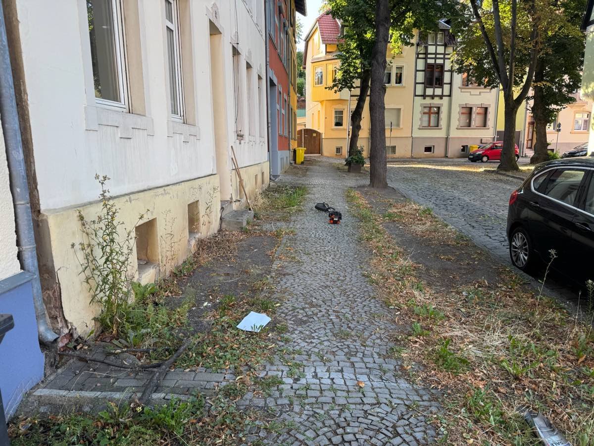 Gehweg und Randstreifen vor der Übernahme — Fugen und Kanten durchgehend zugewachsen